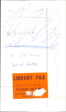 Animals: Seals - Vintage Photograph