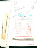 Animals: Seals - Vintage Photograph