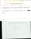 Animals: Seals - Vintage Photograph