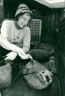 Animals: Seals - Vintage Photograph