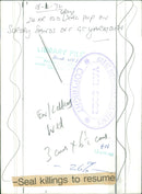 Animals: Seals - Vintage Photograph