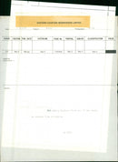 Animals: Seals - Vintage Photograph