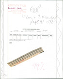 Animals: Seals - Vintage Photograph