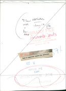 Animals: Seals - Vintage Photograph