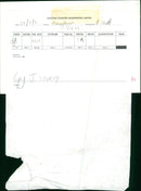 HERONERY BIRDS - Vintage Photograph