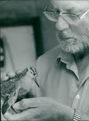 Ruff - Vintage Photograph