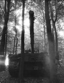 The long gun barrel of a chieftain blends in woodland. - Vintage Photograph