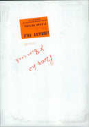 Flamingos - Vintage Photograph