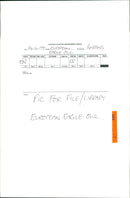 Birds: European Eagle Owl - Vintage Photograph