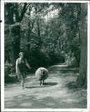 Animals : Sheep - Vintage Photograph