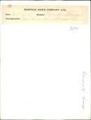 Animals : Sheep - Vintage Photograph