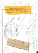 Animals : Sheep - Vintage Photograph