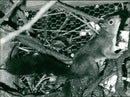 Red Squirrel - Vintage Photograph