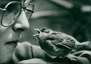 Birds: Sparrow - Vintage Photograph