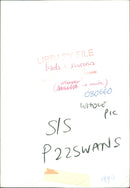 Birds: Swans: Whooper and Mute Swan - Vintage Photograph