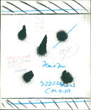 Birds: Swans - Vintage Photograph