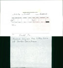 Birds: Swans Cruise - Vintage Photograph