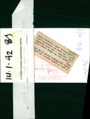 Birds: Swans: Black Swan - Vintage Photograph