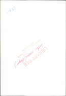 Birds: Swans - Vintage Photograph