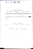 Birds: Swans - Vintage Photograph