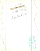 Birds: Parakeet - Vintage Photograph