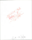 Birds: Pigeon - Vintage Photograph