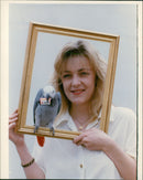 Birds: Pigeon - Vintage Photograph