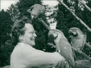 Birds: Parrots - Vintage Photograph