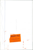 Birds: Pigeon - Vintage Photograph