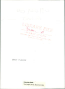 Grey Plover. - Vintage Photograph