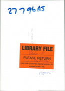 Birds: Pigeon - Vintage Photograph