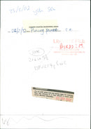 Birds - Vintage Photograph