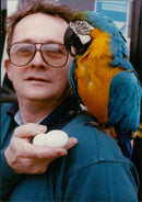 Birds - Vintage Photograph