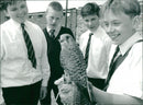 School Petshow: Kestrel - Vintage Photograph