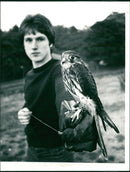 Kestrel - Vintage Photograph