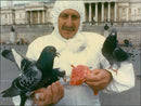 Birds: Pigeon Pie: Dr. Chris Feare - Vintage Photograph