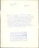 Birds: Penguins: Rockhopper Penguin - Vintage Photograph