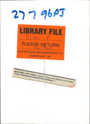 Birds: Pigeons - Vintage Photograph