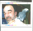 Birds: Parrot: Bob Johnson - Vintage Photograph