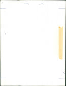 Birds: Parrot - Vintage Photograph