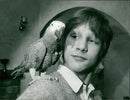 Birds: Parrot: - Vintage Photograph