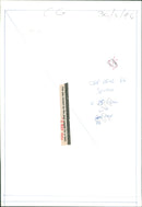 Birds: Pied Wagtail - Vintage Photograph