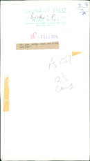 Birds: Penguin - Vintage Photograph