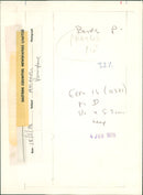 Birds: Parrot - Vintage Photograph