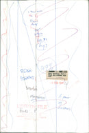 Birds: Parrots - Vintage Photograph