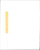 Mandrills. - Vintage Photograph