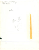 MOnkey. - Vintage Photograph