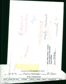 The marmosets. - Vintage Photograph