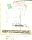 Monkey fun at banham zoo. - Vintage Photograph