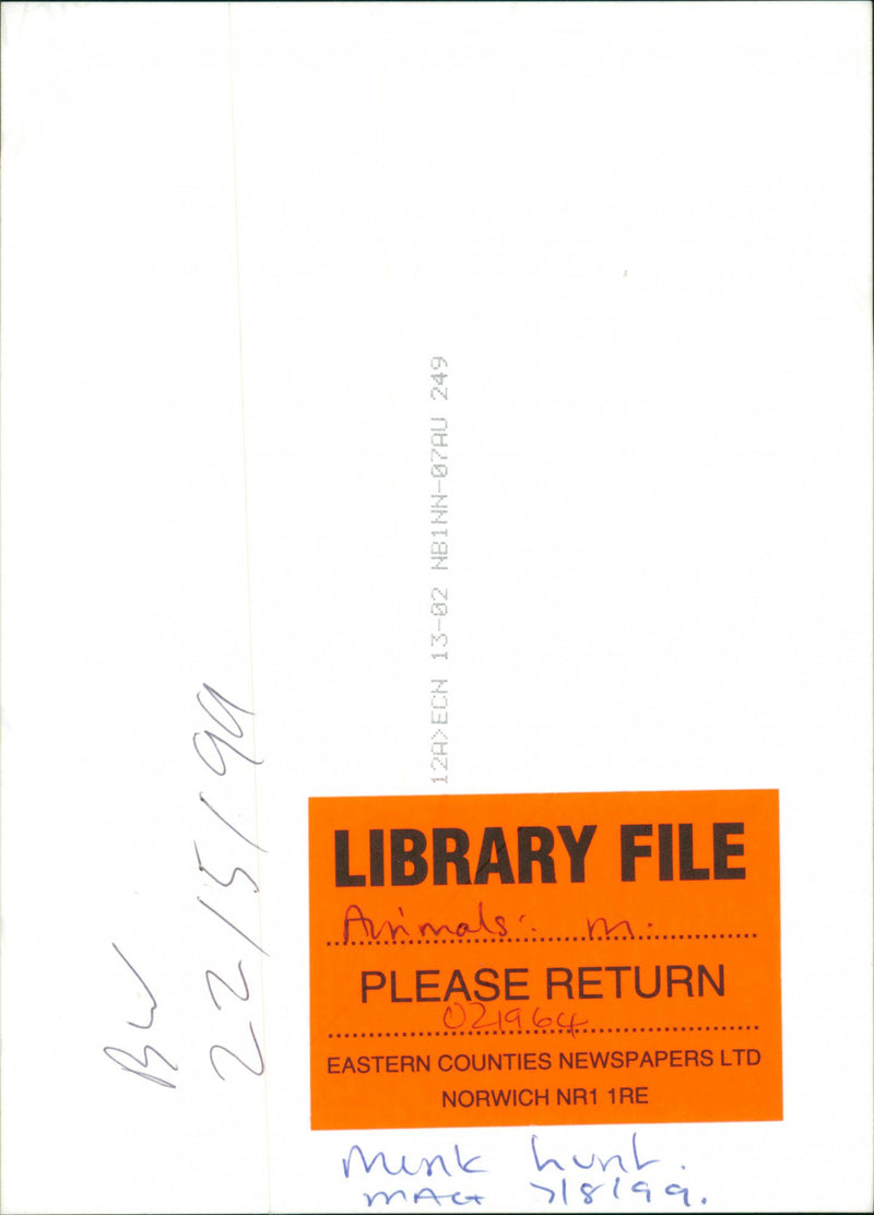 People walking with their dogs. - Vintage Photograph